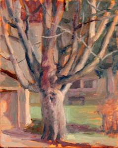 Backyard Tree, oil on panel, 8x10, by Jeffrey Smith