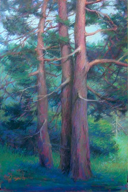 Pine Trio, 24x36", pastel on panel, by Jeffrey Smith